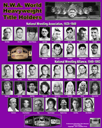 Professional Wrestling Title History Poster #2